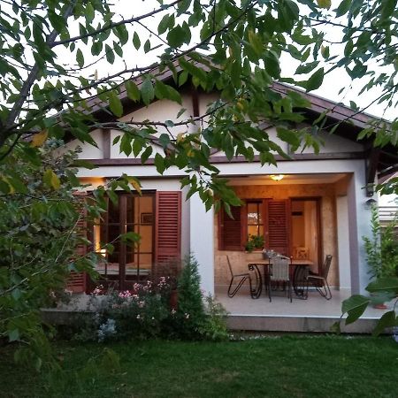 Nikolija 1 Apartment Bajina Basta Exterior photo
